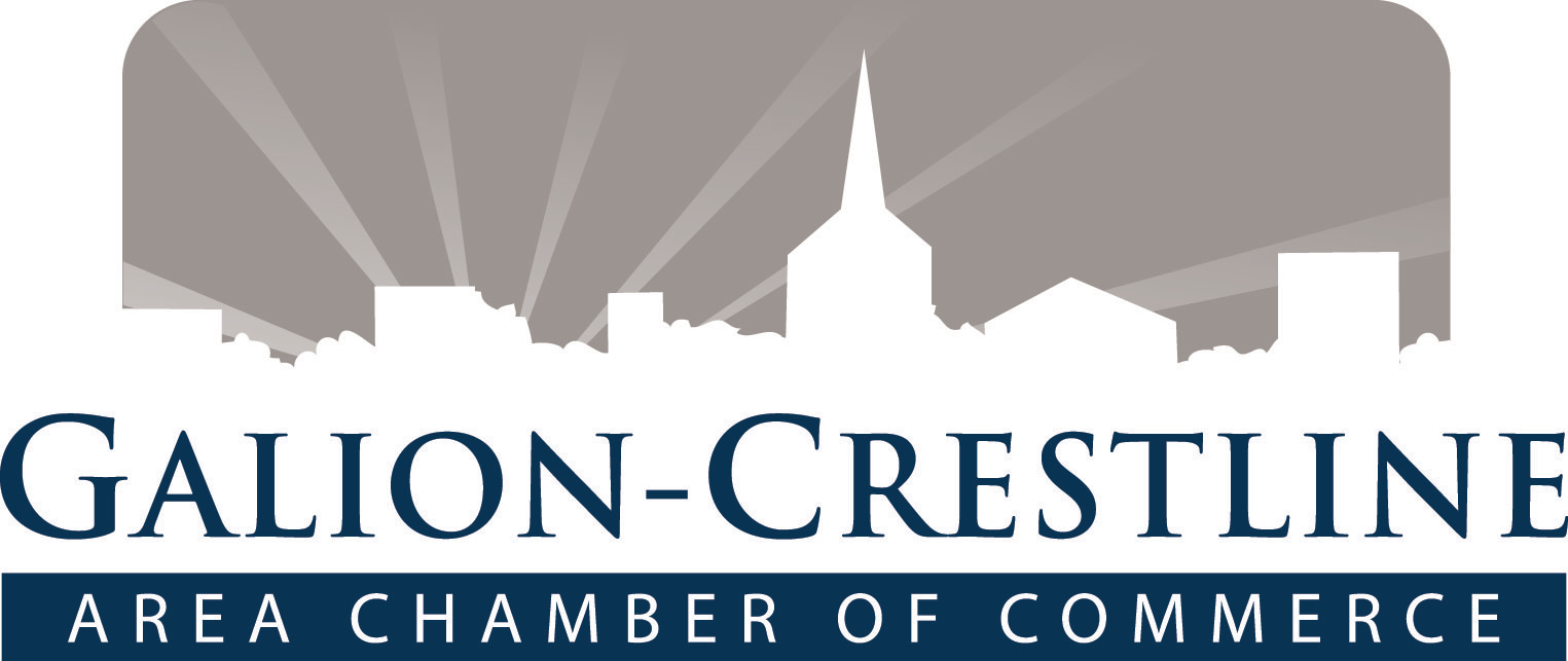 2013 new chamber logo